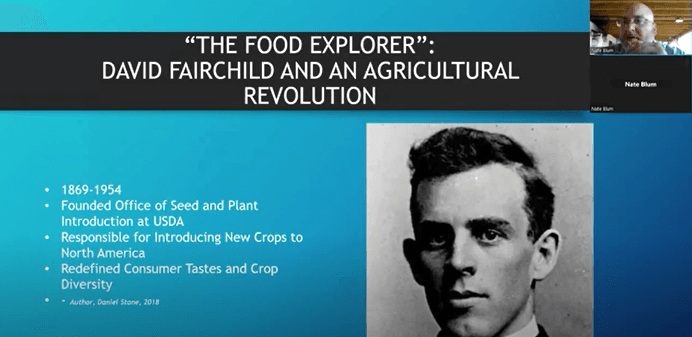 The Role of Sorghum and Millets in Redefining Global Food and Agricultural Paradigms