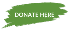 GET INVOLVED - donate - brush