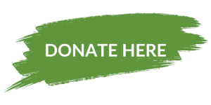 GET INVOLVED - donate - brush