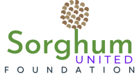 new-logo-for-website
